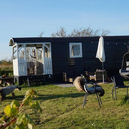 Bed And Breakfast Het Schapenlandje Waarland Exterior photo